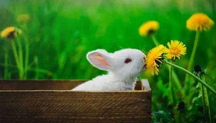 kaiyun-如何看待女足在国际热身赛中的爆冷，如何看待女足在国际热身赛中的爆冷行为